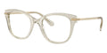 Swarovski SK2044 3003 Glasses