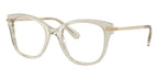 Swarovski SK2044 3003 Glasses