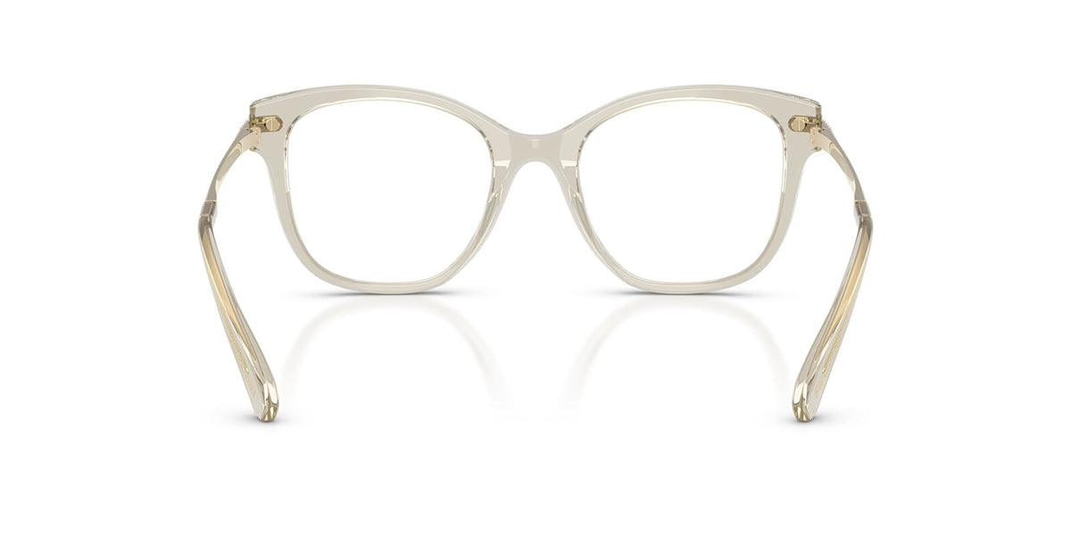 Swarovski SK2044 3003 Glasses