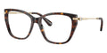 Swarovski SK2060 1002 Glasses