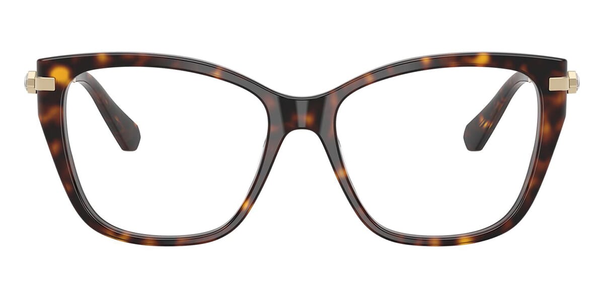 Swarovski SK2060 1002 Glasses