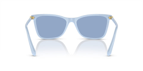 Swarovski SK6004 1006/1U Sunglasses