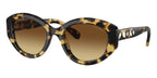 Swarovski SK6005 1009/13 Sunglasses