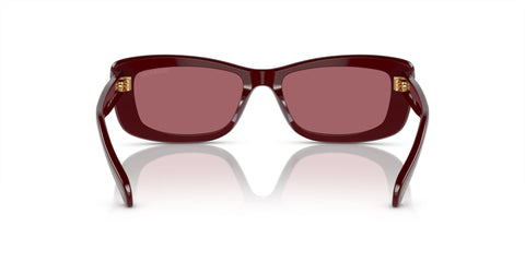 Swarovski SK6008 1008/69 Sunglasses