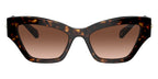 Swarovski SK6021 1002/3B Sunglasses
