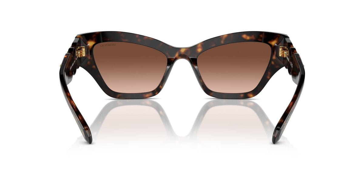 Swarovski SK6021 1002/3B Sunglasses