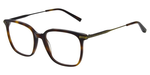 Ted Baker Miles 8295 407 Glasses