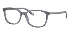 tiffany-and-co-tf2109hb-8405-
