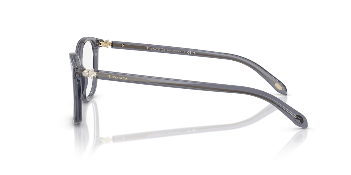 Tiffany & Co TF2109HB 8405 Glasses
