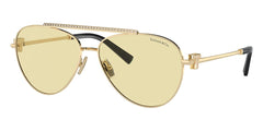 Tiffany & Co TF3101B 6210/M4 Photochromic Sunglasses - US