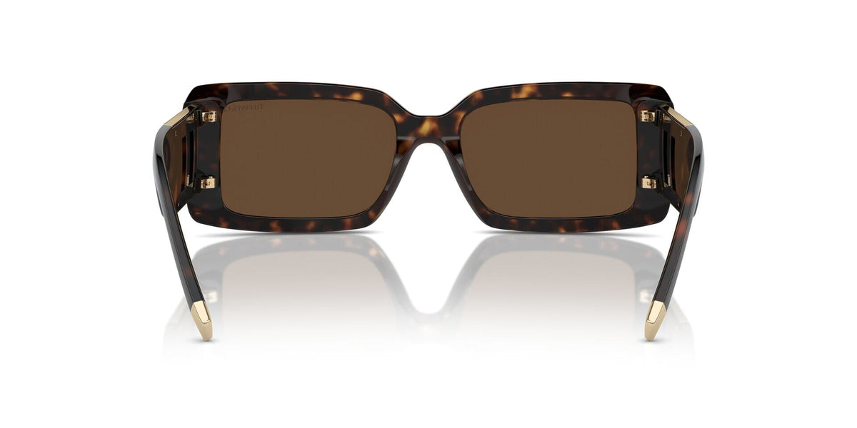 Tiffany & Co TF4197 8015/3G Sunglasses