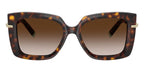 Tiffany & Co TF4199 8015/3B Sunglasses