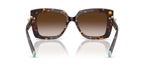 Tiffany & Co TF4199 8015/3B Sunglasses