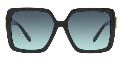 Tiffany & Co TF4206U 8001/9S Sunglasses