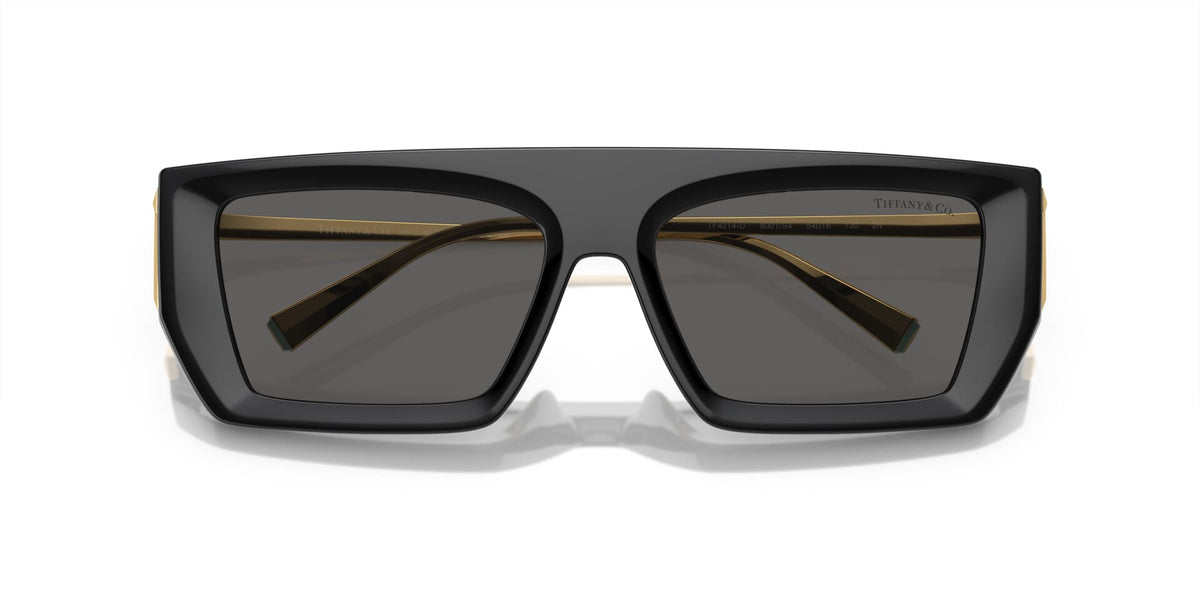 Tiffany & Co TF4214U 8001/S4 Sunglasses