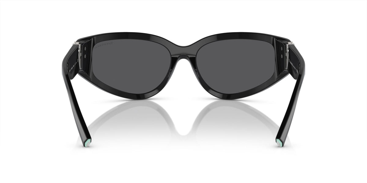 Tiffany & Co TF4217 8001/6G Sunglasses