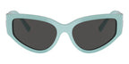 Tiffany & Co TF4217 8388/87 Sunglasses