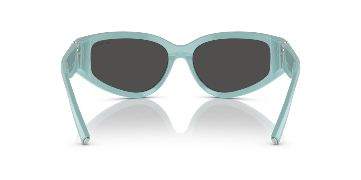 Tiffany & Co TF4217 8388/87 Sunglasses