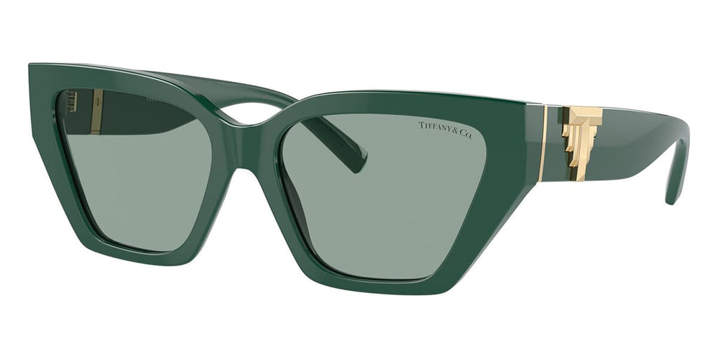 Tiffany & Co TF4218 8408/82 Sunglasses