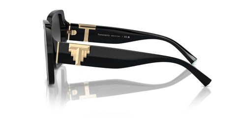 Tiffany & Co TF4219 8001/3C Sunglasses