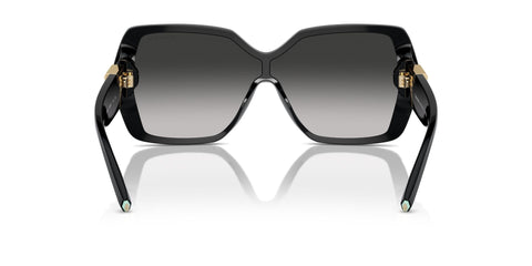 Tiffany & Co TF4219 8001/3C Sunglasses
