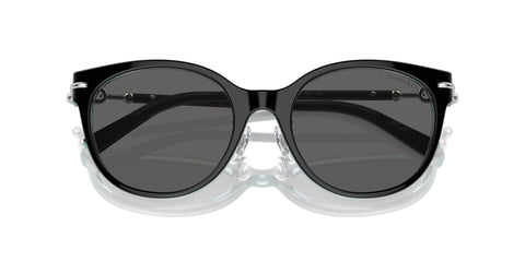 Tiffany & Co TF4223D 8285/S4 Sunglasses