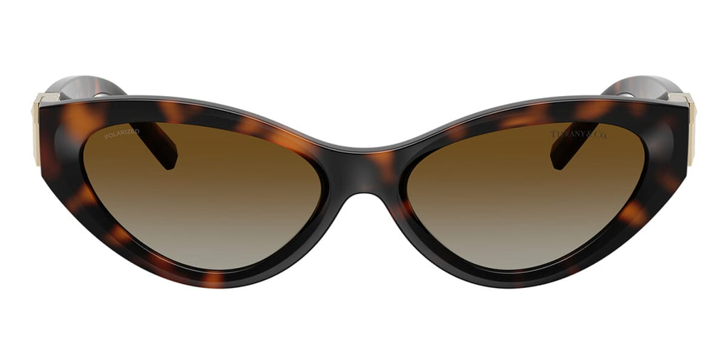 Tiffany & Co TF4225U 8015/T5 Polarised Sunglasses - US