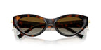 Tiffany & Co TF4225U 8015/T5 Polarised Sunglasses