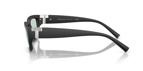 Tiffany & Co TF4226U 8425/D9 Sunglasses