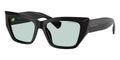 Tiffany & Co TF4230 8001/D9 Sunglasses