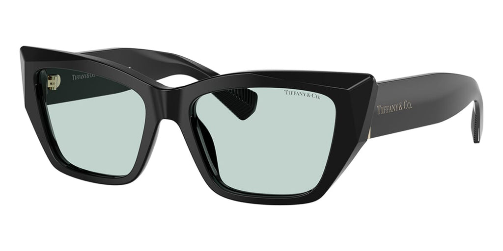 Tiffany & Co TF4230 8001/D9 Sunglasses