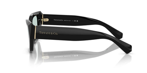 Tiffany & Co TF4230 8001/D9 Sunglasses