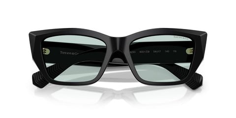 Tiffany & Co TF4230 8001/D9 Sunglasses