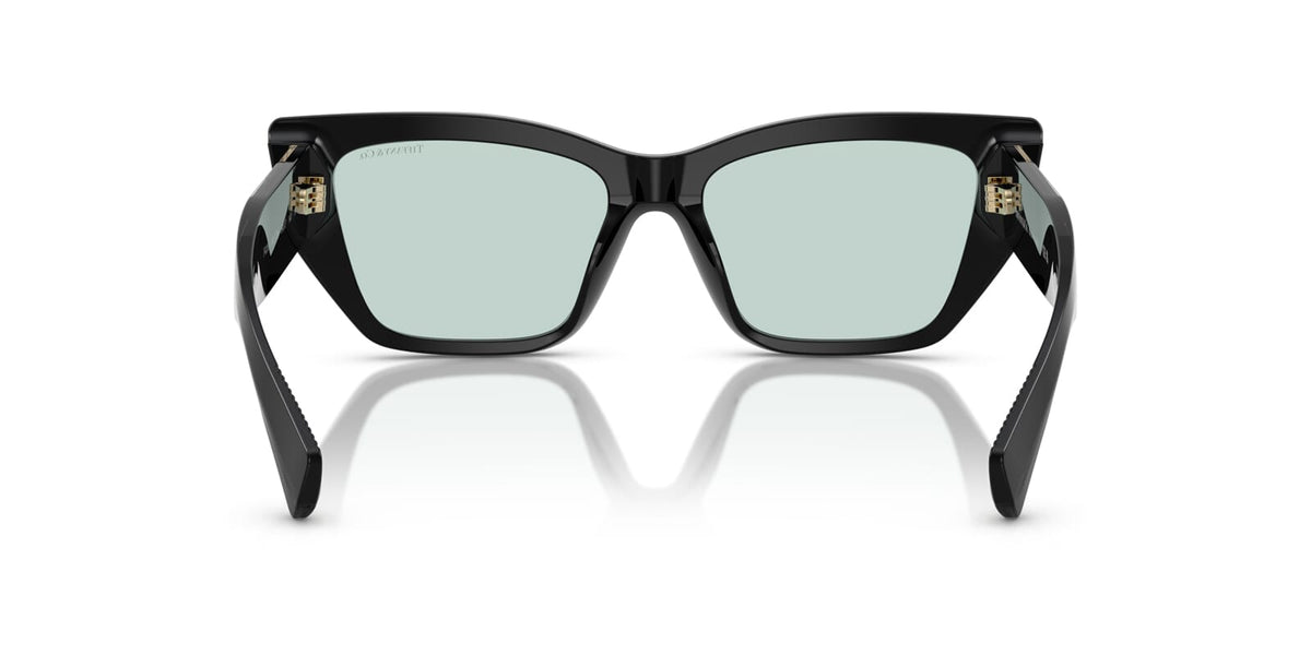 Tiffany & Co TF4230 8001/D9 Sunglasses