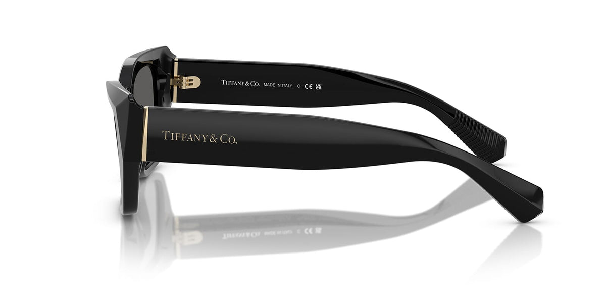 Tiffany & Co TF4230 8001/S4 Sunglasses
