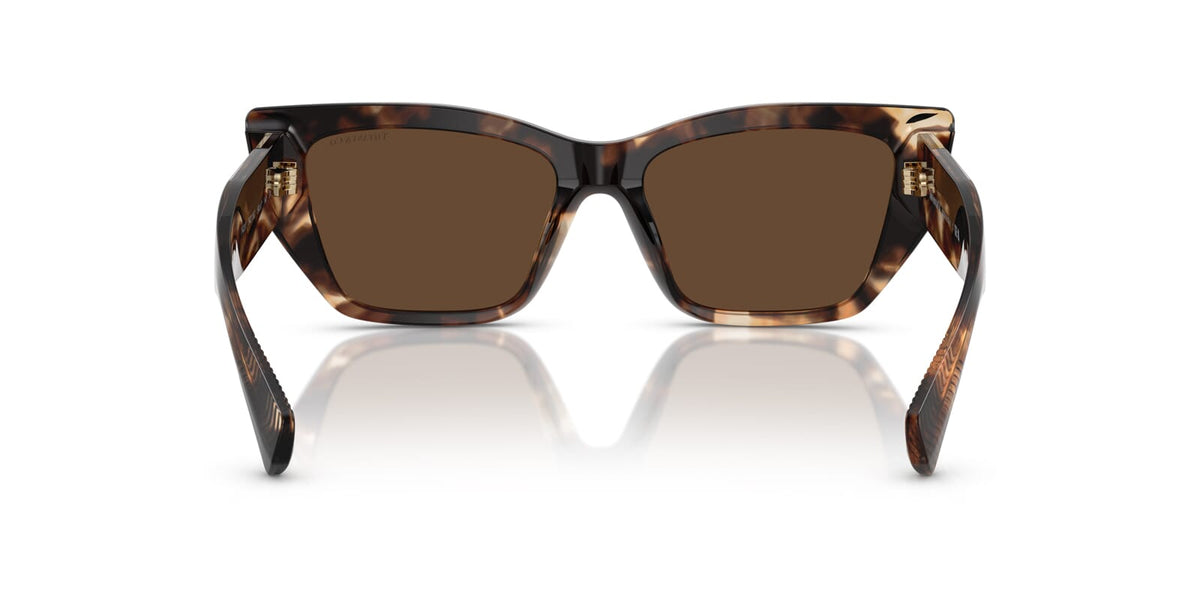 Tiffany & Co TF4230 8421/3G Sunglasses
