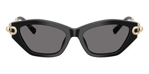 Tiffany & Co TF4231U 8001/81 Polarised Sunglasses