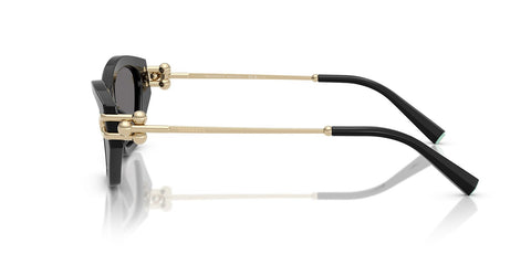 Tiffany & Co TF4231U 8001/81 Polarised Sunglasses