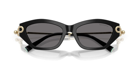 Tiffany & Co TF4231U 8001/81 Polarised Sunglasses