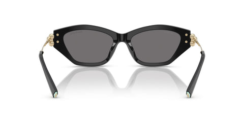 Tiffany & Co TF4231U 8001/81 Polarised Sunglasses