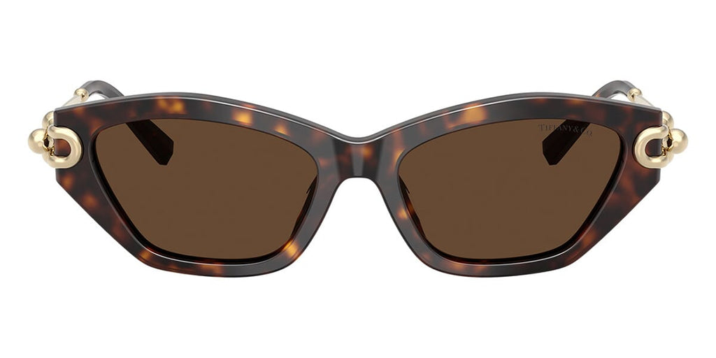 Tiffany & Co TF4231U 8015/3G Sunglasses - US display picture 1