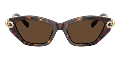 Tiffany & Co TF4231U 8015/3G Sunglasses