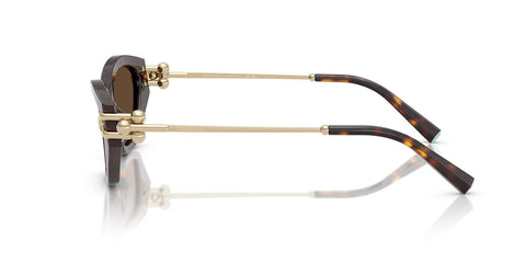 Tiffany & Co TF4231U 8015/3G Sunglasses