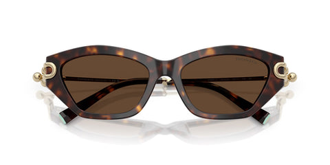 Tiffany & Co TF4231U 8015/3G Sunglasses