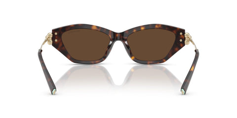 Tiffany & Co TF4231U 8015/3G Sunglasses