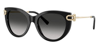 Tiffany & Co TF4232 8001/3C Sunglasses