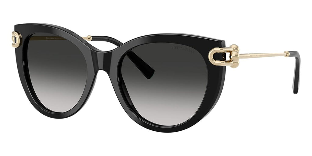 Tiffany & Co TF4232 8001/3C Sunglasses