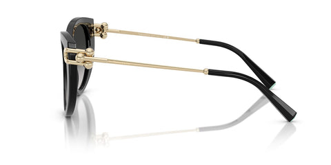 Tiffany & Co TF4232 8001/3C Sunglasses