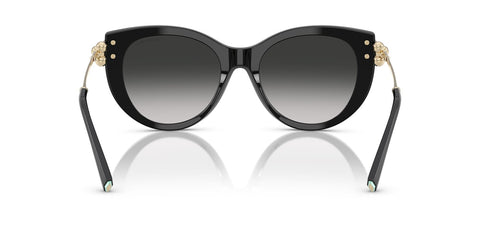Tiffany & Co TF4232 8001/3C Sunglasses
