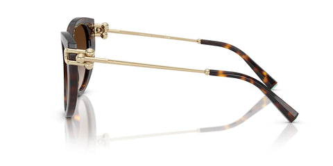 Tiffany & Co TF4232 8015/3B Sunglasses